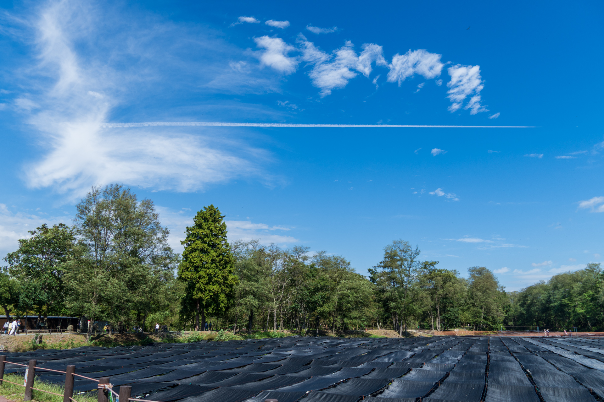 長野旅行の写真その4
大王わさび農園の空に飛行機雲